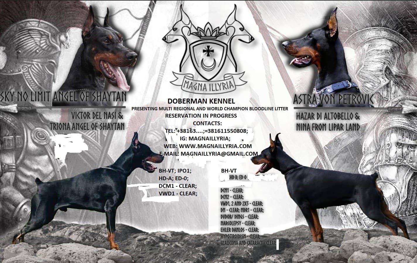 A Litter Poster